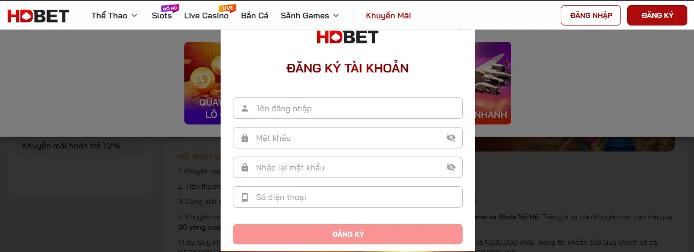 Điền đầy đủ thông tin vào form đăng ký HDbet